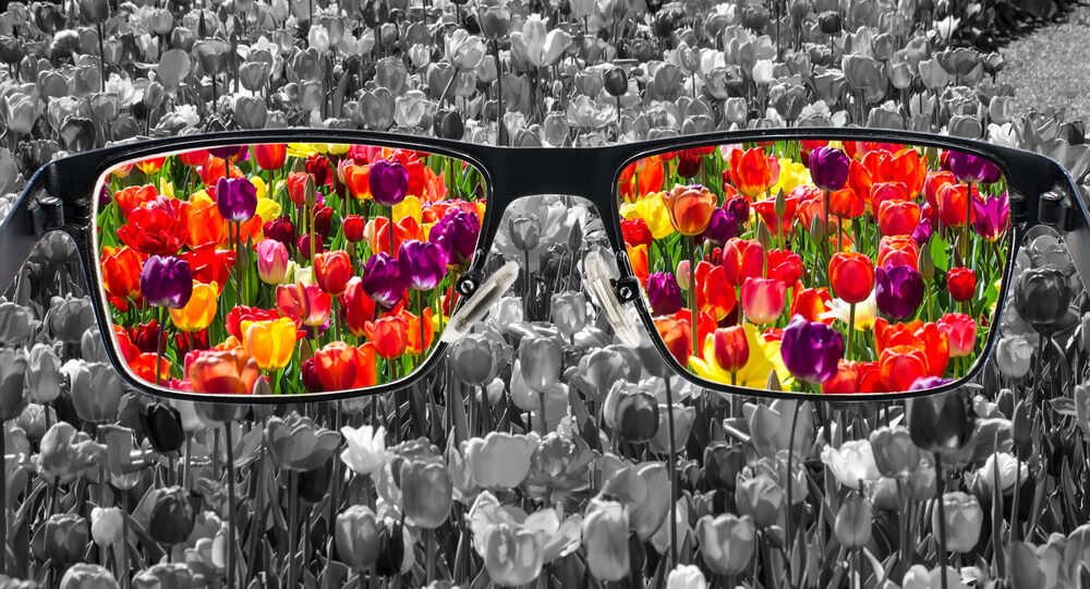 Through,Glasses,Frame.,Colorful,View,Of,Colorful,Tulips,In,Glasses