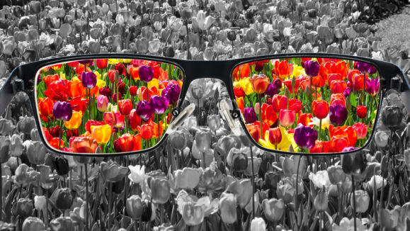 Through,Glasses,Frame.,Colorful,View,Of,Colorful,Tulips,In,Glasses
