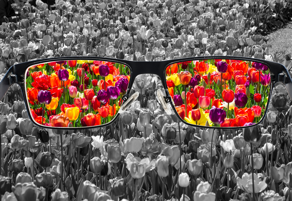 Through,Glasses,Frame.,Colorful,View,Of,Colorful,Tulips,In,Glasses
