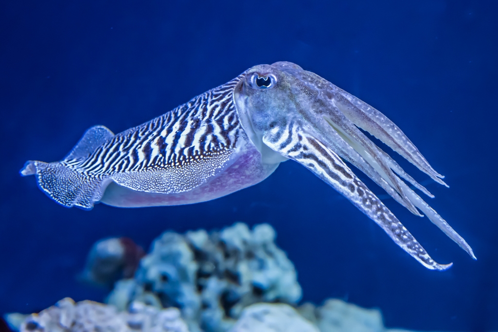 shutterstock_429008602