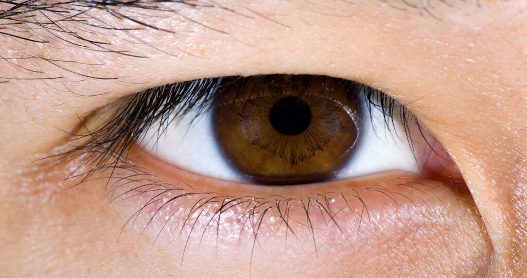 Close up of brown male eye