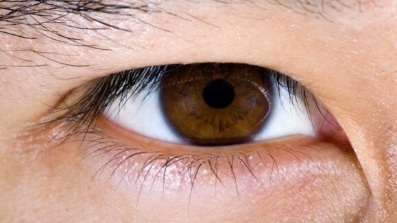 Close up of brown male eye
