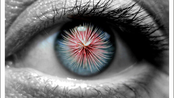 A,Human,Eye,Watching,Fireworks.