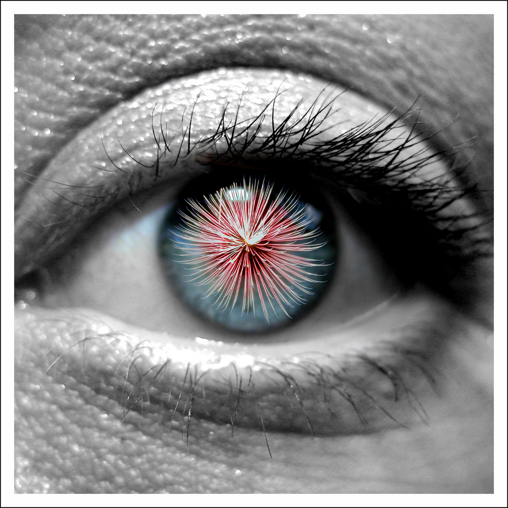 A,Human,Eye,Watching,Fireworks.