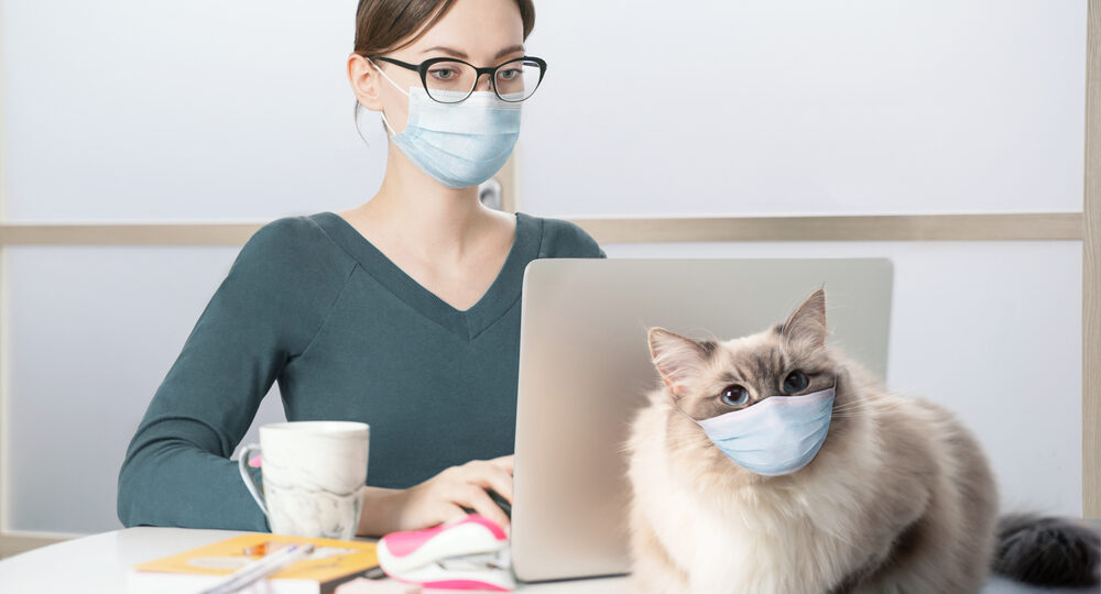 A,Young,Woman,In,A,Medical,Mask,Works,On,A