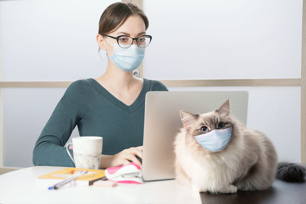 A,Young,Woman,In,A,Medical,Mask,Works,On,A